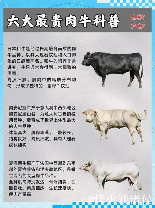 探索亚洲国产精品牛在线精彩世界