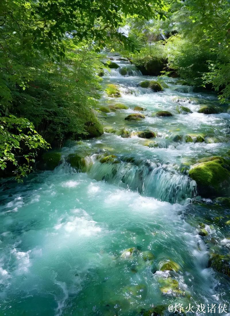 发现1024手机基地的最新资源与功能